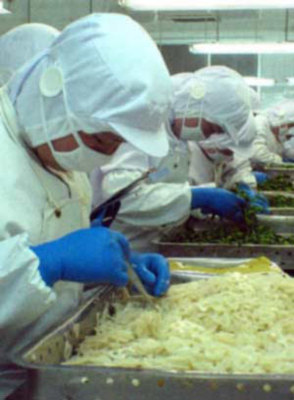 山東農副產品出口大幅增長，優質特色產品走俏國際市場