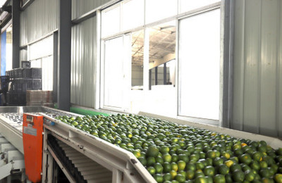 湖北農副產品的疫后突圍 從挑戰(zhàn)到機遇的振興之路