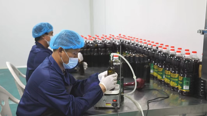 黃龍奏響春耕“變奏曲” 特色農副產品的綠色發(fā)展與鄉(xiāng)村振興新篇章