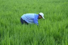 塞上江南，物阜民豐——探秘寧夏特色農副產品產業