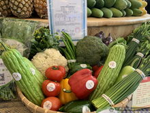 上林扶貧農副產品展銷中心在南寧揭牌 架起產銷橋梁，助力鄉村振興